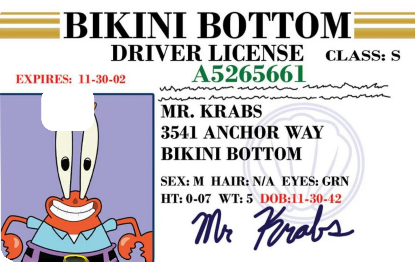 Bikini Bottom Card skin