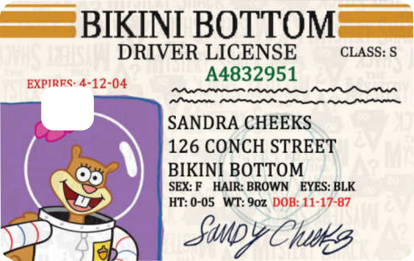 Bikini Bottom Card skin