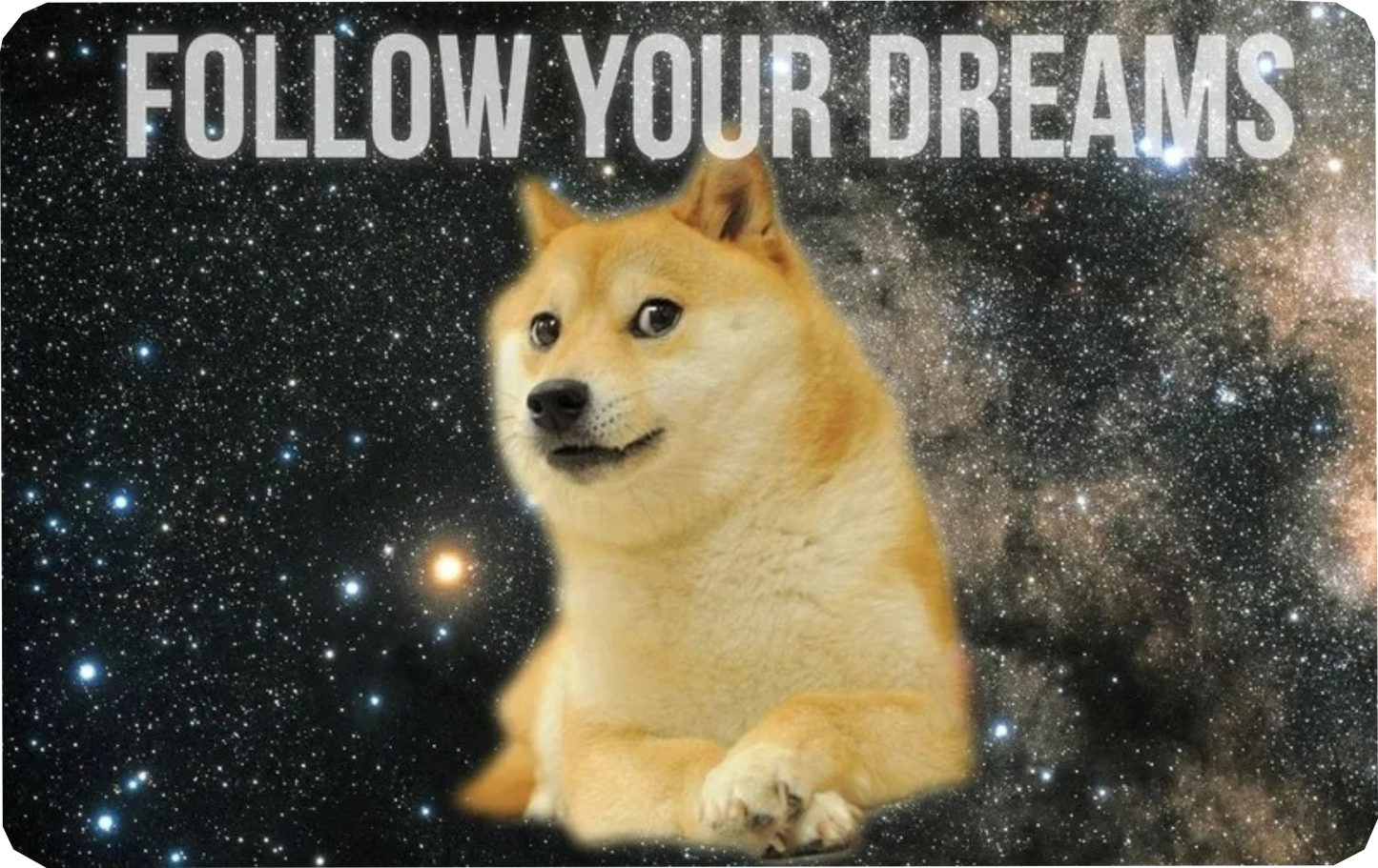 Doge Dreams Card Skin