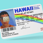 McLovin ID Card Cover