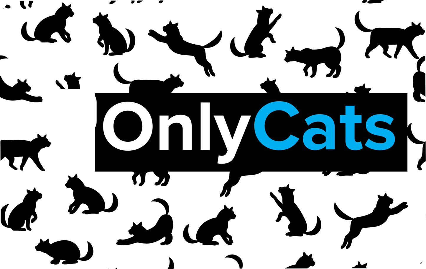 Only Cats Card Skins