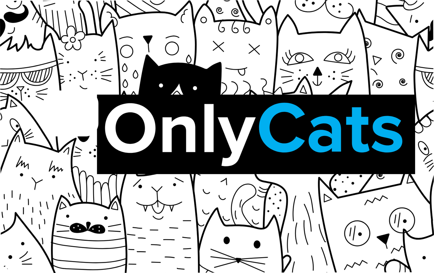 Only Cats Card Skins