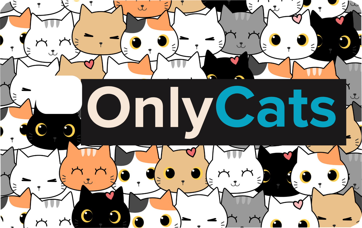 Only Cats Card Skins