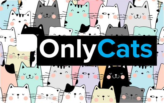 Only Cats Card Skins