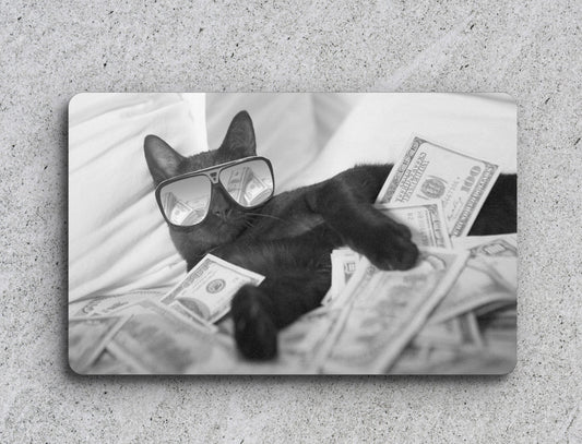 a black cat wearing glasses laying on top of a pile of money