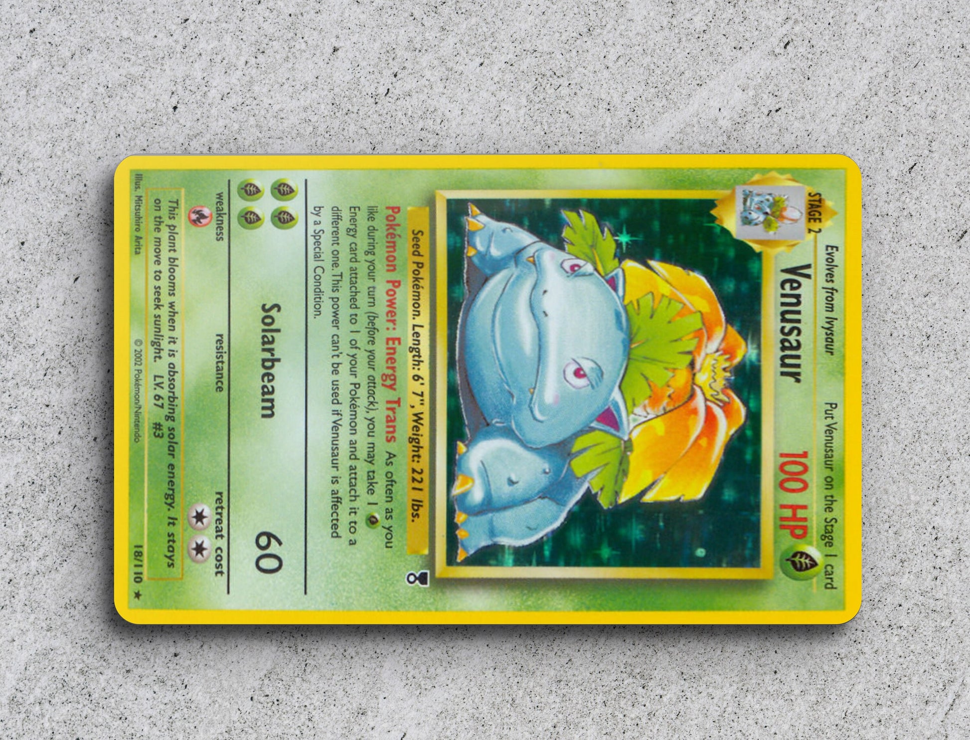 a card with a picture of a hippo on it pokemon